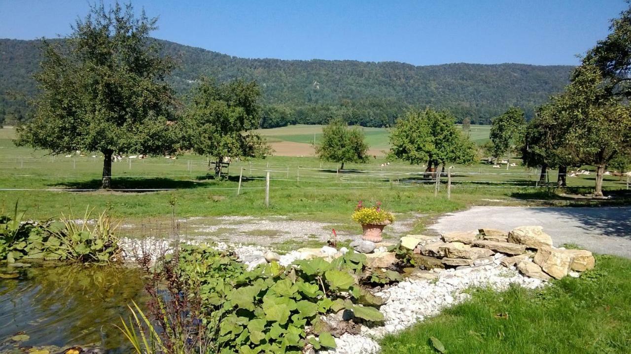 Apartement-Gite Rural A 3 Km De Delemont Courcelon Екстериор снимка